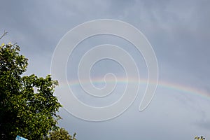 Bright rainbow in the summer over the apple orchard