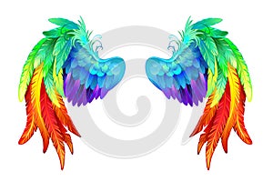 Bright rainbow wings on white background