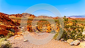 Aztec sandstone rock formations in the Valley of Fire State Park in Nevada, USA