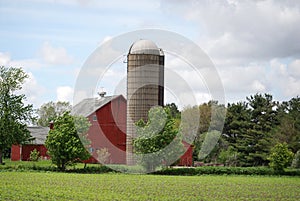 A bright red barn and silo on a farm in rural Illinois.