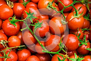 Bright red cherry tomatoes with green tails and twigs