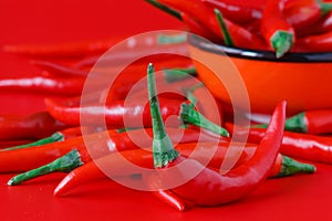 Bright red chili pepper on plain background