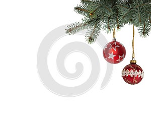 Bright red Christmas ball hanging from Christmas trees isolated