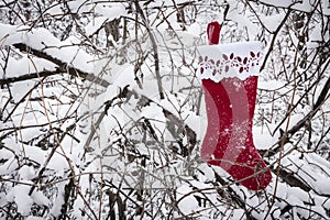 Bright red christmas stocking hanging from snow covered tree branch.