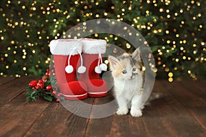 Bright Red Chritmas Santa Boots with an Adorable Kitten photo