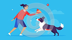 With a bright red clicker in hand a woman guides her energetic border collie through a series of training exercises on