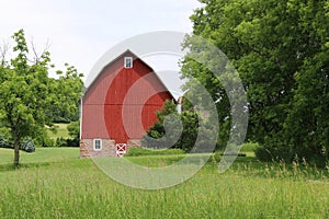 Bright red farm barn with fresh painted white trim in a natural field with trees and agriculture beyond