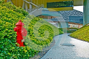 Bright red fire hidrant for emergency fire access sits in a green grass near foodpath