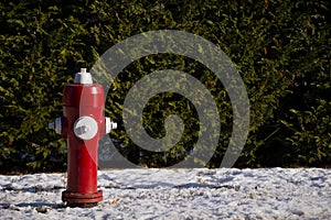 Bright Red Fire Hydrant