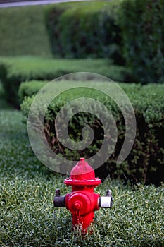 Bright red firehydrant in green bushes sunny day