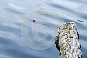 A bright red fishing float in the center of the water with a log floating next to it