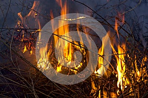 Bright red flames burning dry grass