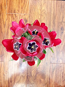 Bright red flower tulips bunch bouquet sign of spring season