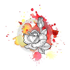 A bright red formless watercolor blot. Rose ink flower line graphic