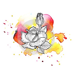 A bright red formless watercolor blot. Rose ink flower line graphic