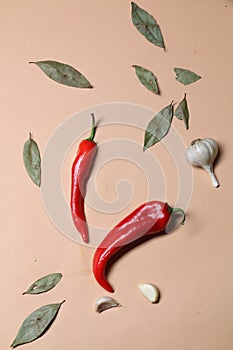 Bright red fresh hot chili peppers, bay leaves, garlic cloves on pink background; space for text
