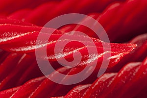 Bright Red Licorice Candy
