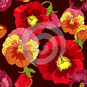 Bright red and orange flowers of pansy on a dark background. Seamless vector pattern. Hand drawing illustration