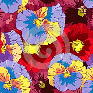 Bright red and orange flowers of pansy on a dark burgundy background. Seamless vector pattern