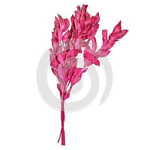 Bright red or pink autumn decorative leaves on a branch