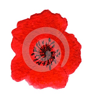 Bright Red Poppy