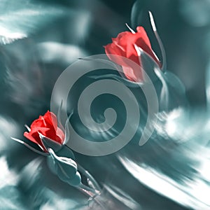 Bright red rose on an abstract background with watercolor effect. Summer spring nature background. Square format.