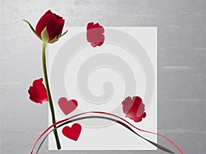 Bright red rose with petals on paper on a gray bac