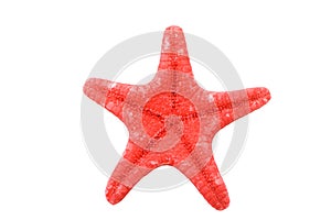 Bright red starfish isolated