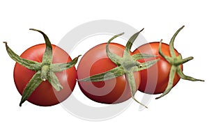 Bright red sweet and sour cherry tomatoes with petioles and leaves on a white background