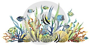 Bright reef fish with corals, sea sponges and algae. Watercolor illustration. Composition from the collection TROPICAL