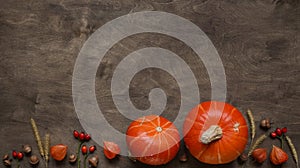 Bright ripe orange pumpkin, spikelets, red rose hips, orange fezalis and acorns on old brown wooden background, top view, flat lay