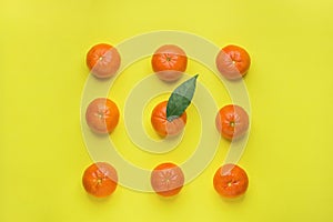 Bright Ripe Tangerines Arranged in Rows in Square One with Green Leaf in Middle. Yellow Background. Food Knolling. Styled Creative