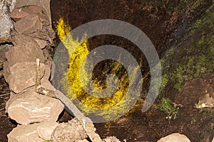 Bright rock  in a cave  at Ciudad de Itas  park at Torotoro. photo