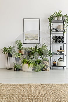 Bright room filled with plants