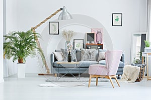 Bright room with watercolor pictures