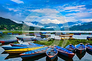 Bright Row Boats - Lake Phewa, Pokhara, Nepal. photo