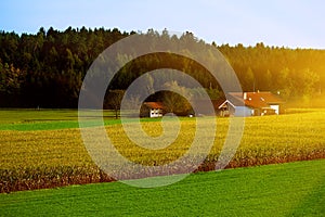 Bright rural landscape with country houses in the morning sun