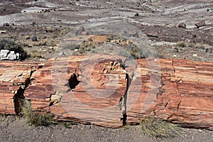 Bright Rust Colored Petrified Log in the Desert of Arizona