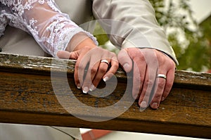 Bright's and groom's hands with wedding rings
