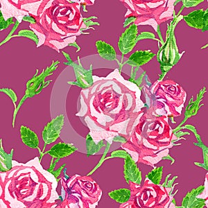 Bright seamless pattern on a dark crimson background of delicate pink watercolor roses
