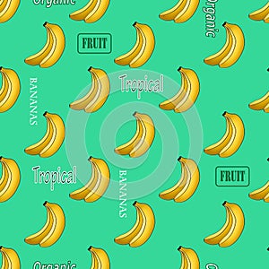 Bright seamless pattern of tropical fruits bananas, lettering and words of white and green colors, green background