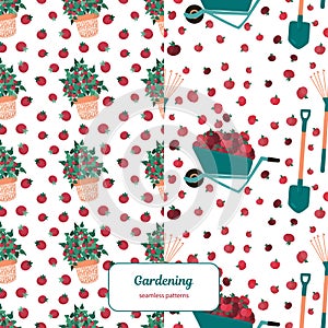 Bright seamless patterns set with healthy food