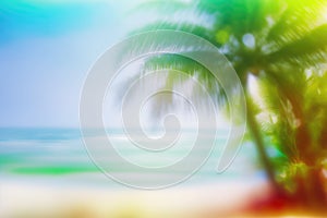 Bright Seascape with palm tree tropical beach background. Isolated on white background