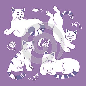 A bright set of cute white cats in different poses on a purple background. Pets in pastel colors. A ball of wool, a toy