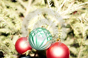 Bright and shiny decorations for Christmas and New Year hang on a green spruce