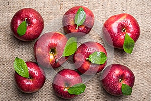 Bright shiny wet red apples with green leaves and water drops on