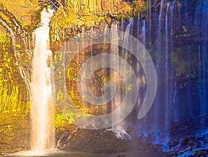 Bright shiraito waterfall scenery