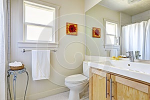 Bright simple bathroom