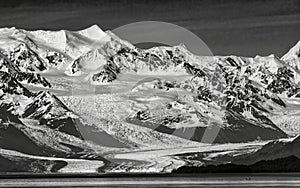 Bright snow and a dramatic glacier flows down to the water in monochrome image