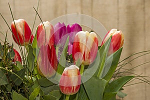 Bright spring flowers tulips bouquet on the table directly above view, colorful pink, red and yellow blooming tulips in vibrant